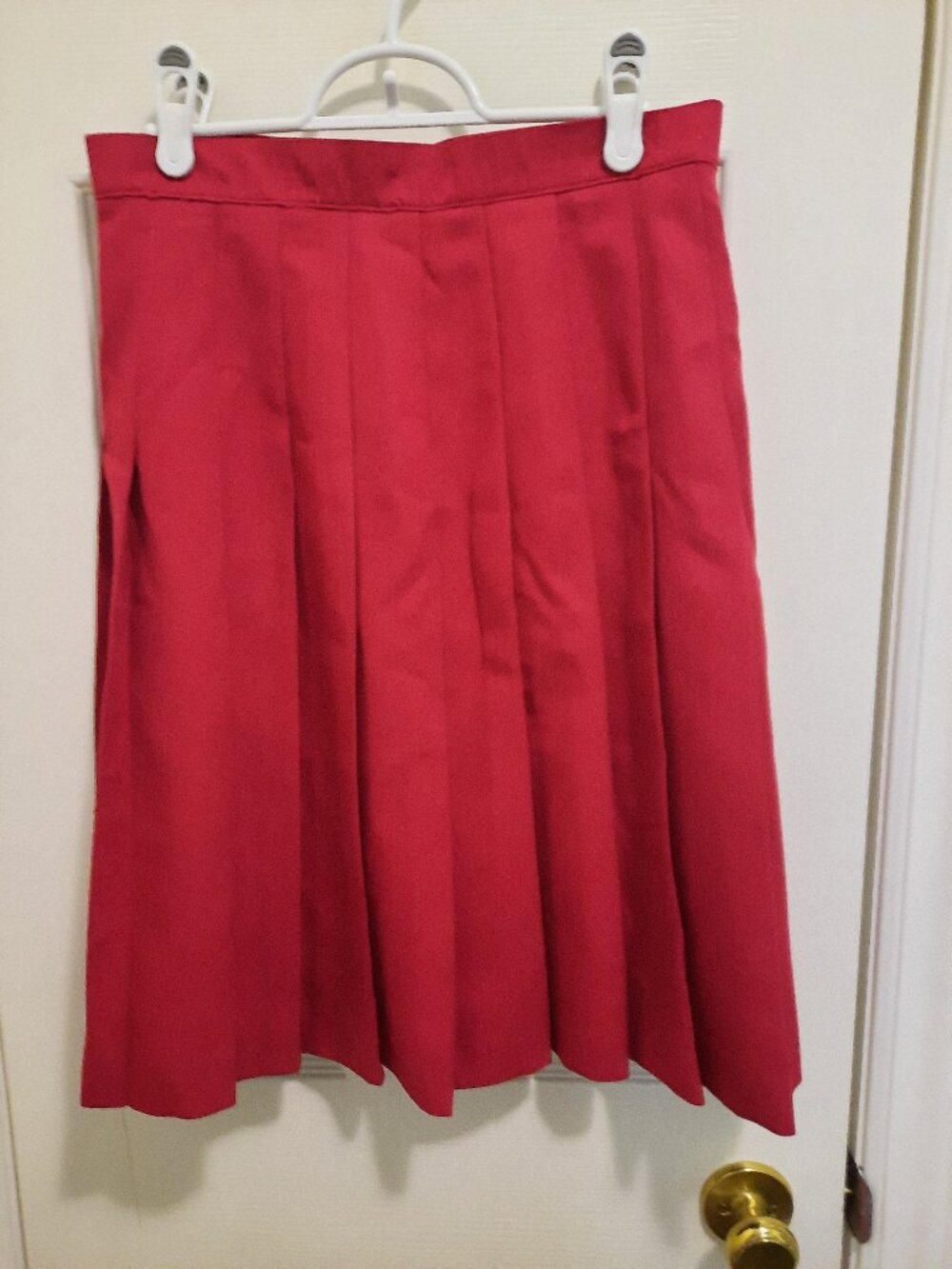 Women's Pleated High Waist Fully Lined Skirt